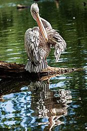 Microids在中国设立代表机构